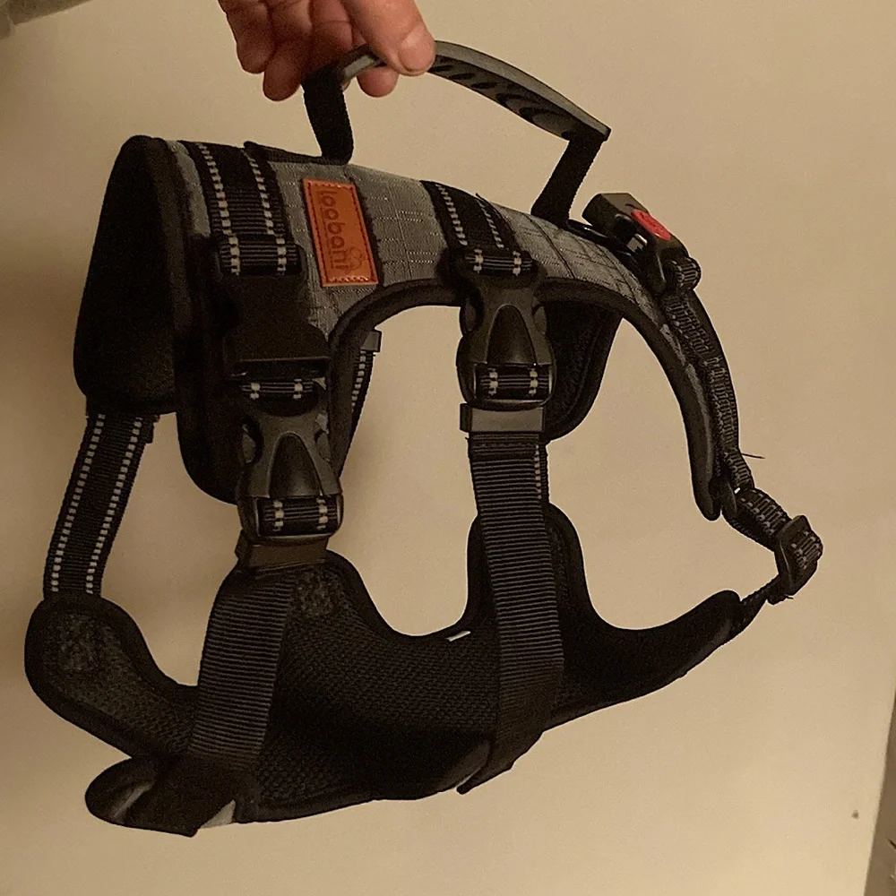 Dog lift harness